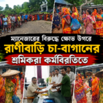 ম্যানেজারের বিরুদ্ধে ক্ষোভ উগরে রাণীবাড়ি চা-বাগানের শ্রমিকরা কর্মবিরতিতে
