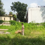 উঁচু ট্যাঙ্কের উপরে যুবতী, নিমেষেই সব শেষ