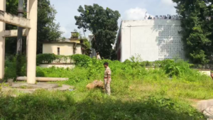 উঁচু ট্যাঙ্কের উপরে যুবতী, নিমেষেই সব শেষ