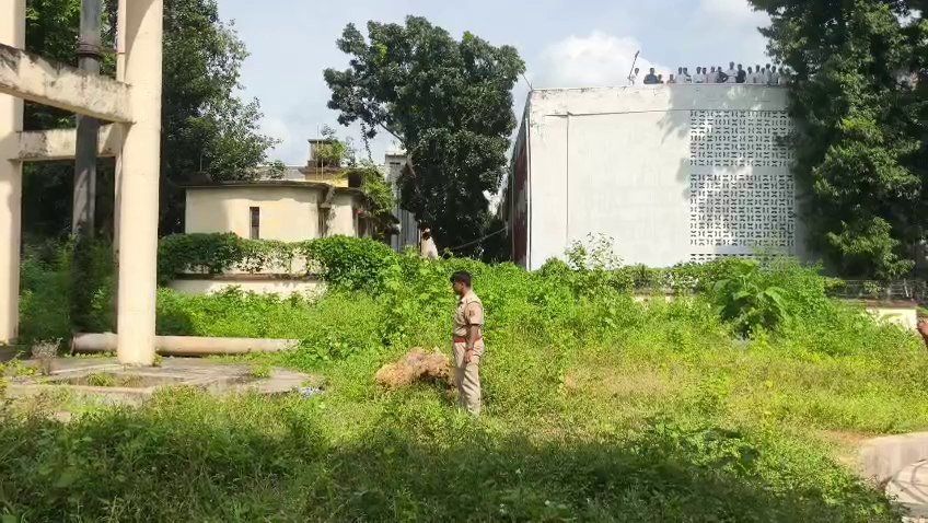 উঁচু ট্যাঙ্কের উপরে যুবতী, নিমেষেই সব শেষ