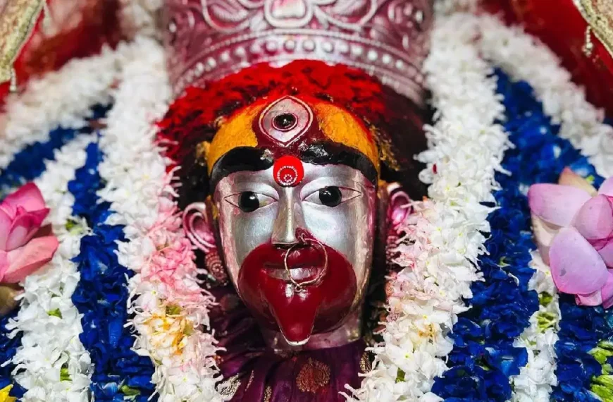 কবে পড়েছে কৌশিকী অমাবস্যা? মা তারার পুজোর সঠিক সময় এবং পৌরাণিক কাহিনি জানুন!