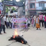 ধর্মনগর শহরে কুশপুত্তলিকা পুড়লো বর্ণালী গোস্বামীর!