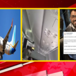 ভারতীয় পাইলটের সাহসিকতাকে কুর্ণিশ